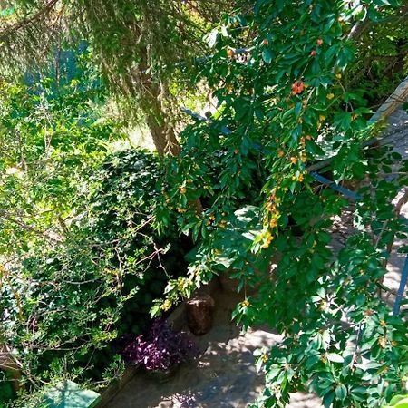 Lassithi Plateau Traditional Suite Agios Georgios  Dış mekan fotoğraf